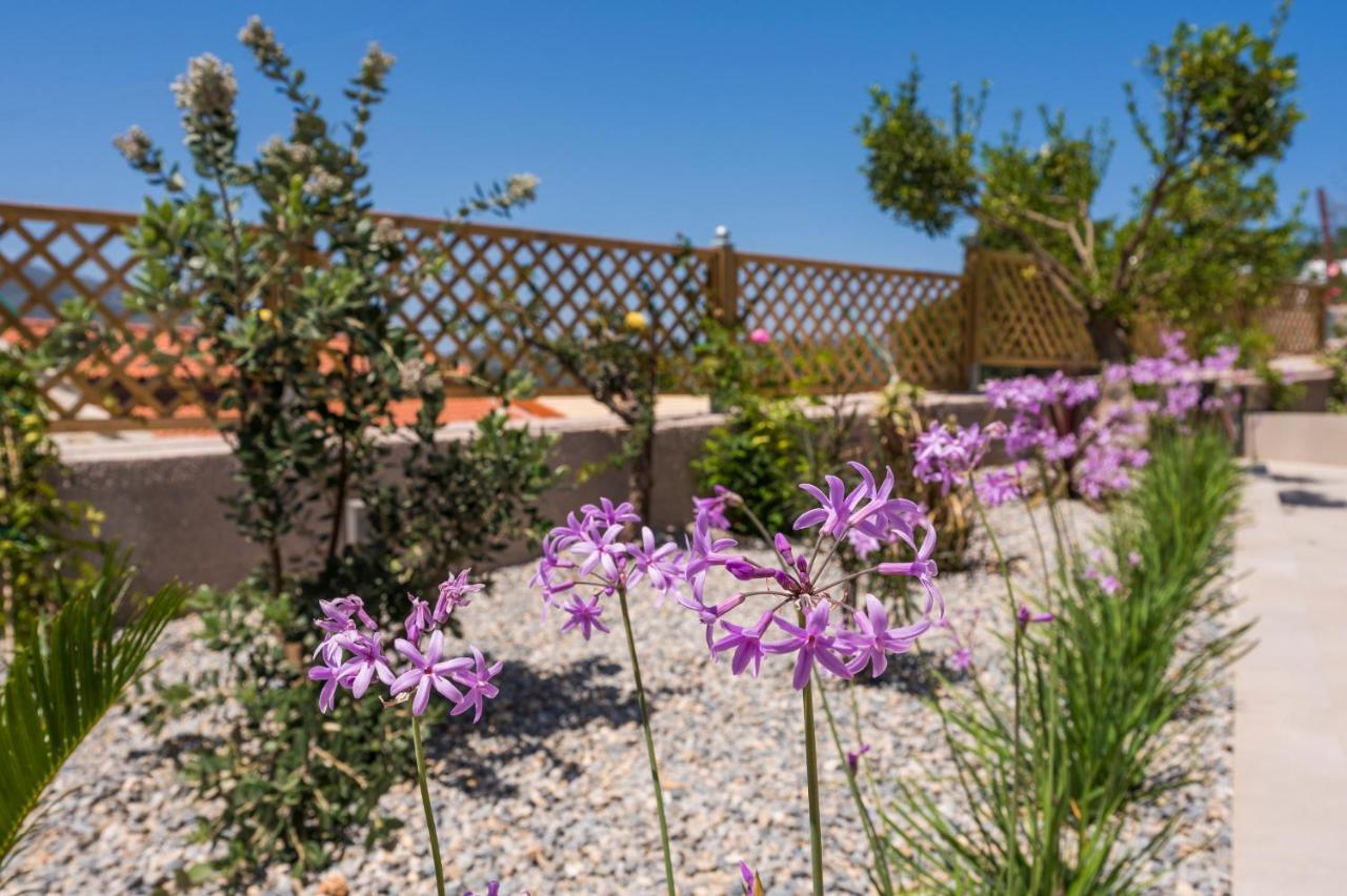 Villa Eva Provarma Esterno foto